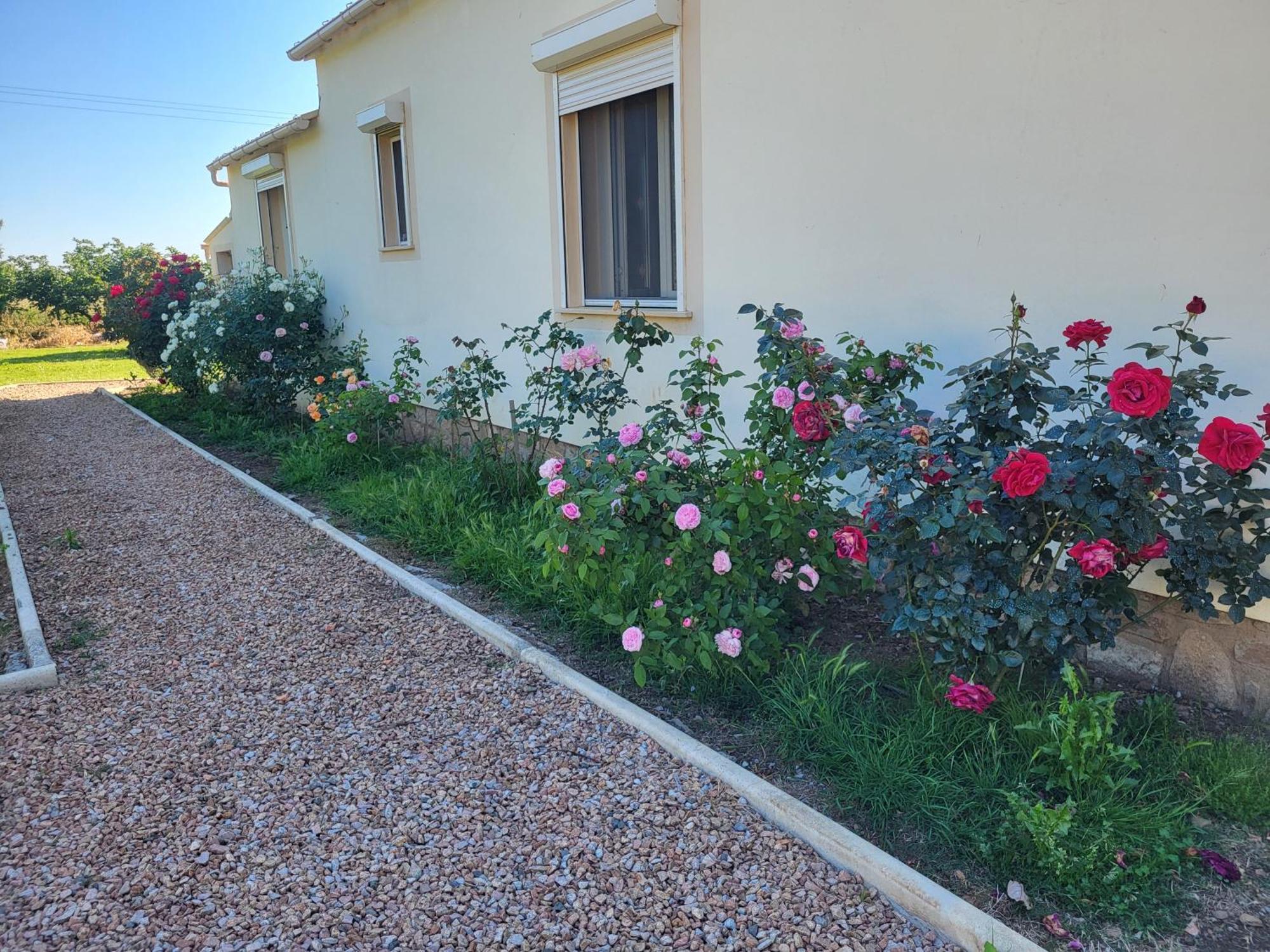 Maison Jumelee Cloturee Linguizzetta Exterior foto